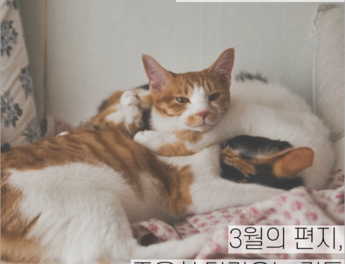 [월간소묘: 레터] 3월의 편지, 조용히 다가오는 것들
