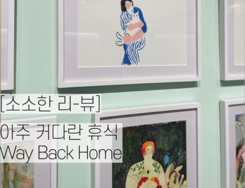 [소소한 리-뷰] 아주 커다란 휴식 Way Back Home