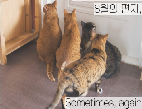 [월간소묘: 레터] 8월의 편지, Sometimes, again