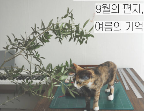 [월간소묘: 레터] 9월의 편지, 여름의 기억