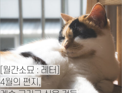 [월간소묘: 레터] 4월의 편지, 계속 그리고 싶은 것들