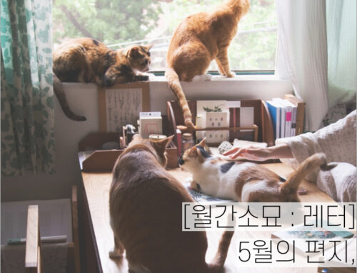 [월간소묘: 레터] 5월의 편지, 무루가 사랑한 여자들