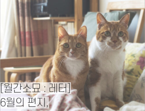 [월간소묘: 레터] 6월의 편지, 마음을 두드리는 순간