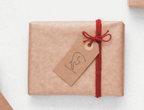 [소묘의 여자들] 이경란, 소묘의 책들에 이정표를 남기는 디자인