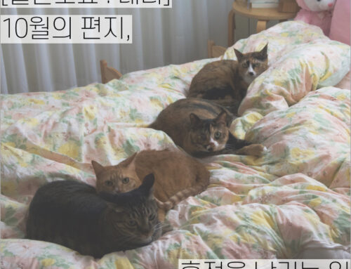 [월간소묘: 레터] 10월의 편지, 흔적을 남기는 일