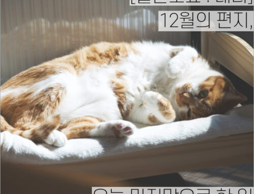 [월간소묘: 레터] 12월의 편지, 오늘 마지막으로 한 일